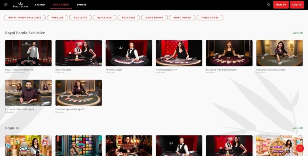bodog