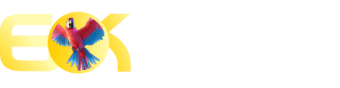 Flu x cam - Ckbet
